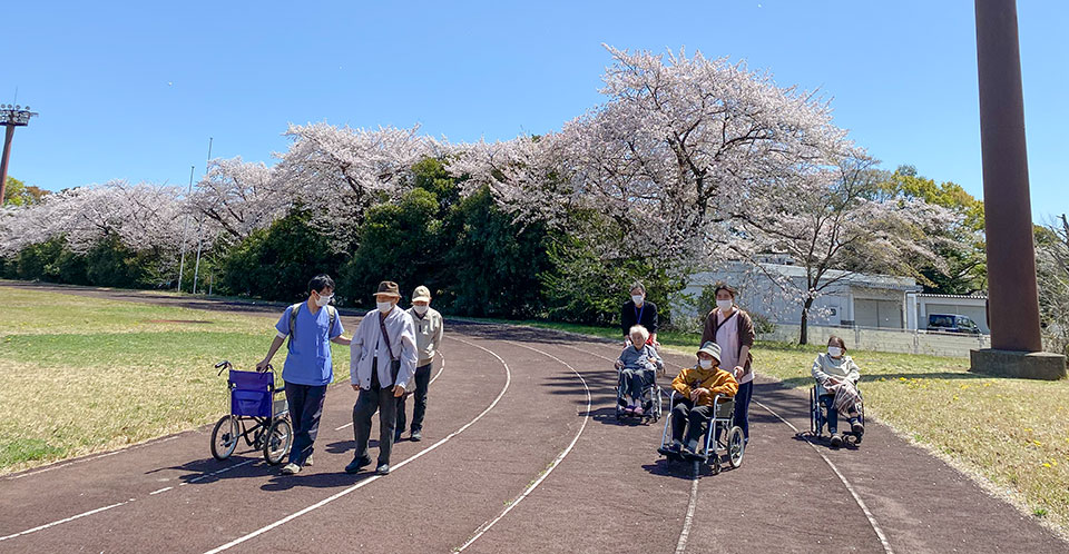 お花見
